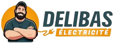 Delibas Électricité